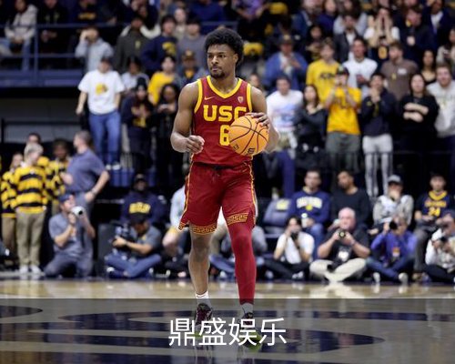 鼎盛娱乐体育的故事 